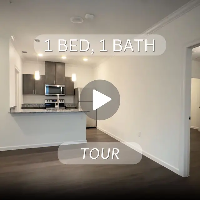 1 Bed 1 Bath Bellingham Walkthrough