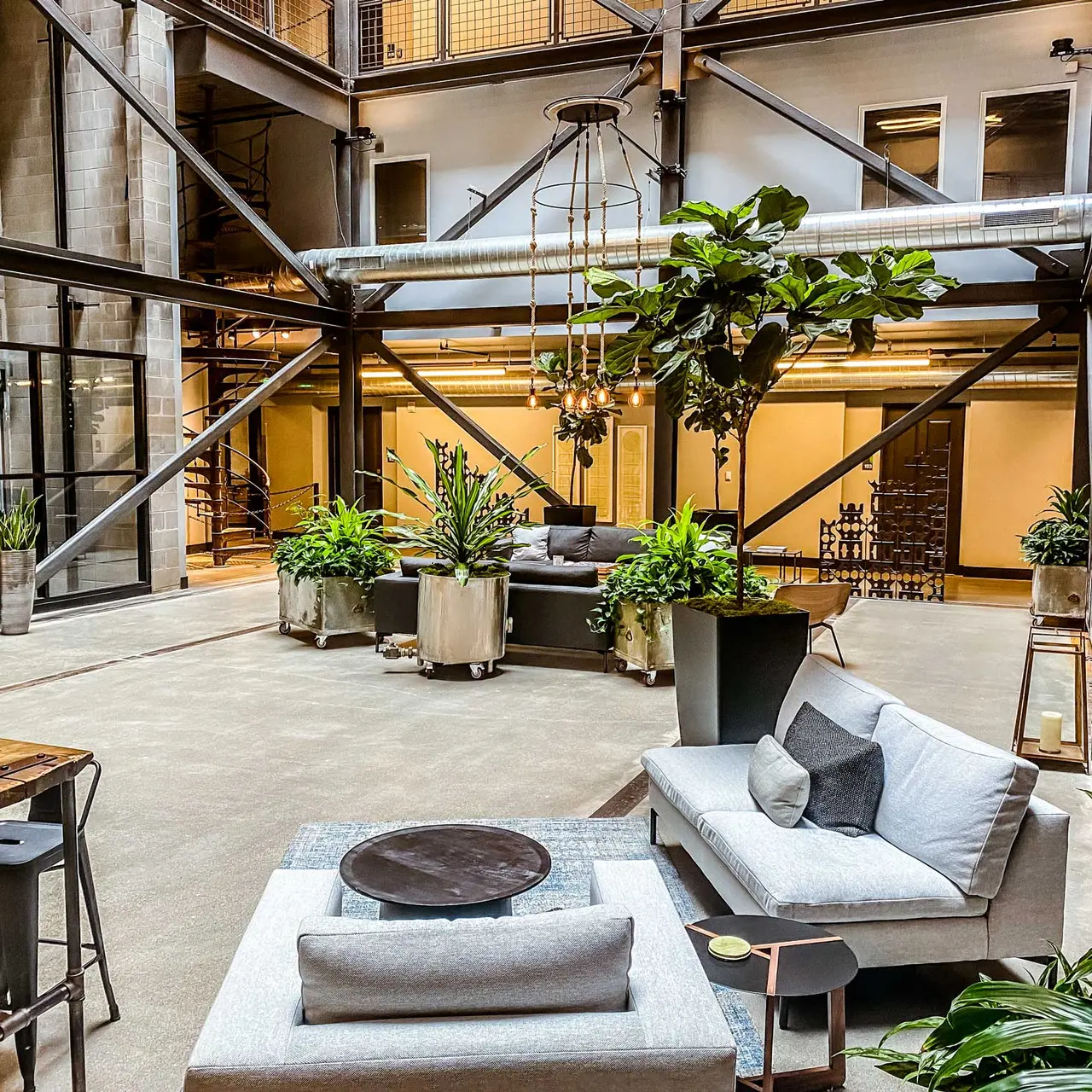 The Malt House - Indoors, Foyer, Plant