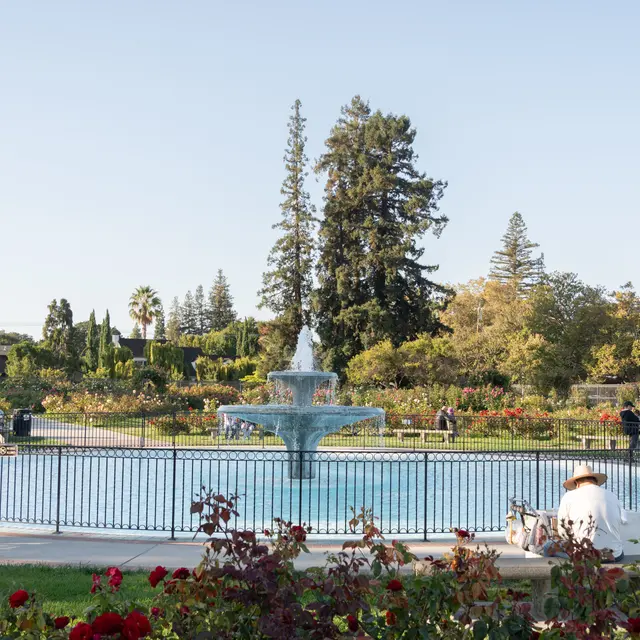 Neighborhood - Alba Santa Clara