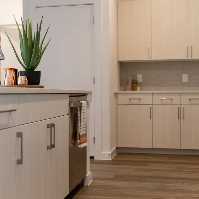 Bishop Central - Plant, Furniture