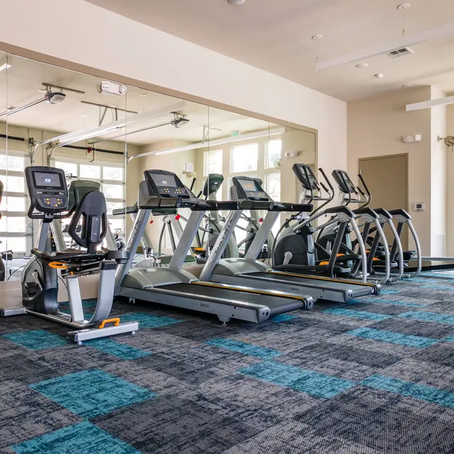 ShoreView A fitness center with a row of treadmills, ellipticals, and exercise bikes against a wall with large mirrors near windows.