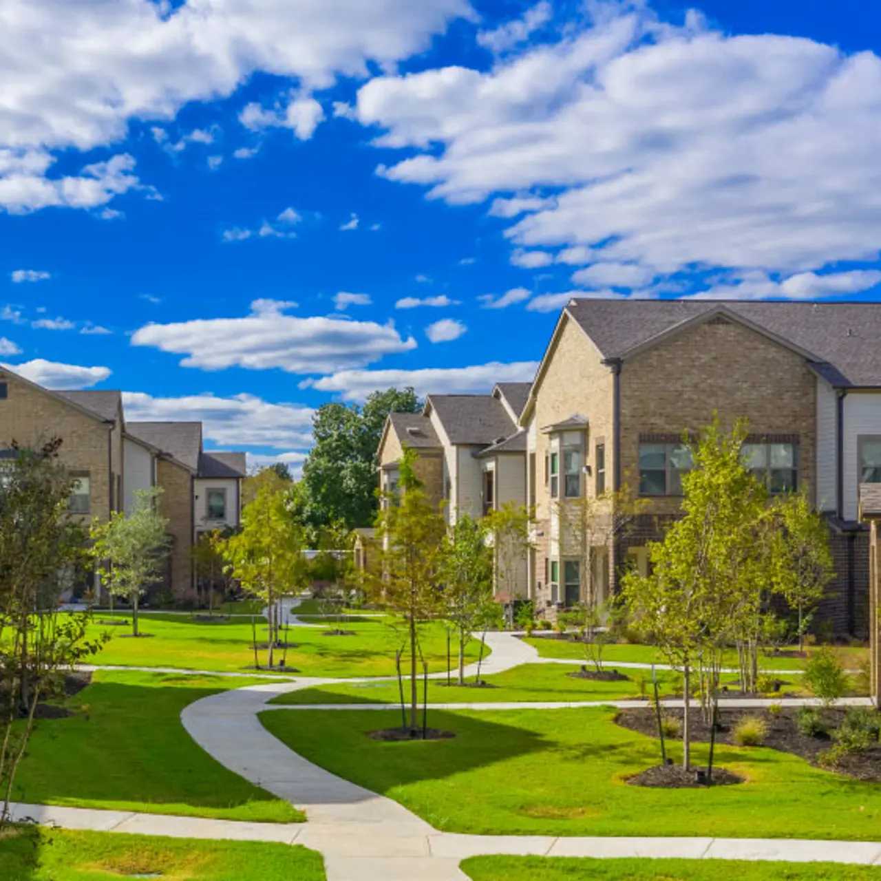 Vale Luxury Apartments - Lawn