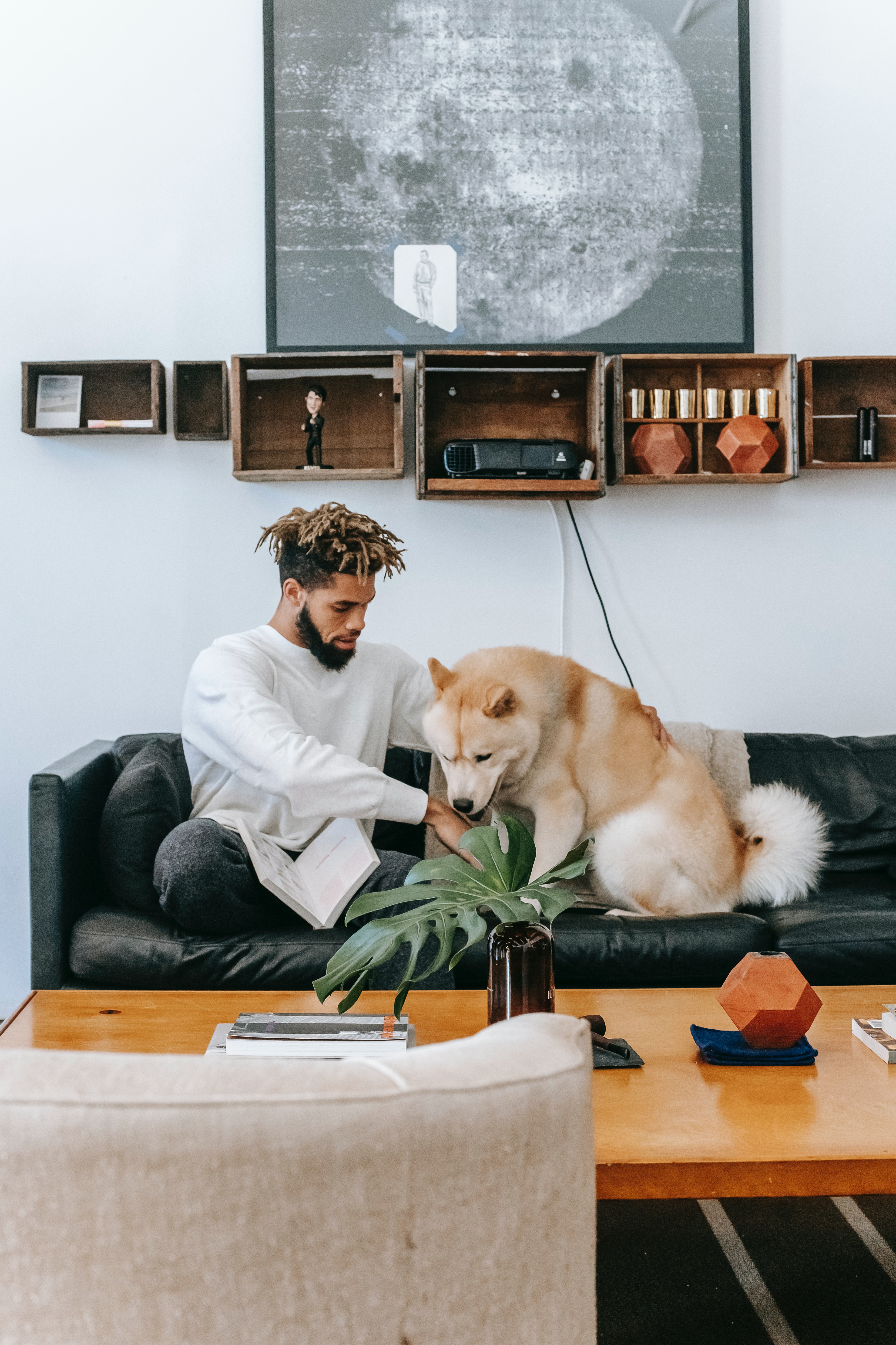 A man sitting on a sofa with a dog, surrounded by modern interior decor including a coffee table and wall shelves.