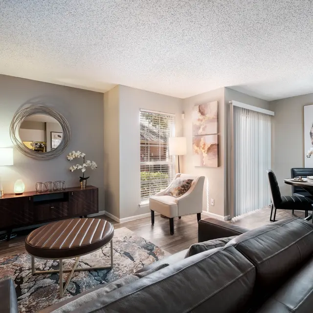 31_13030BlancoRd_V208.jpg 31_13030BlancoRd_V208.jpg