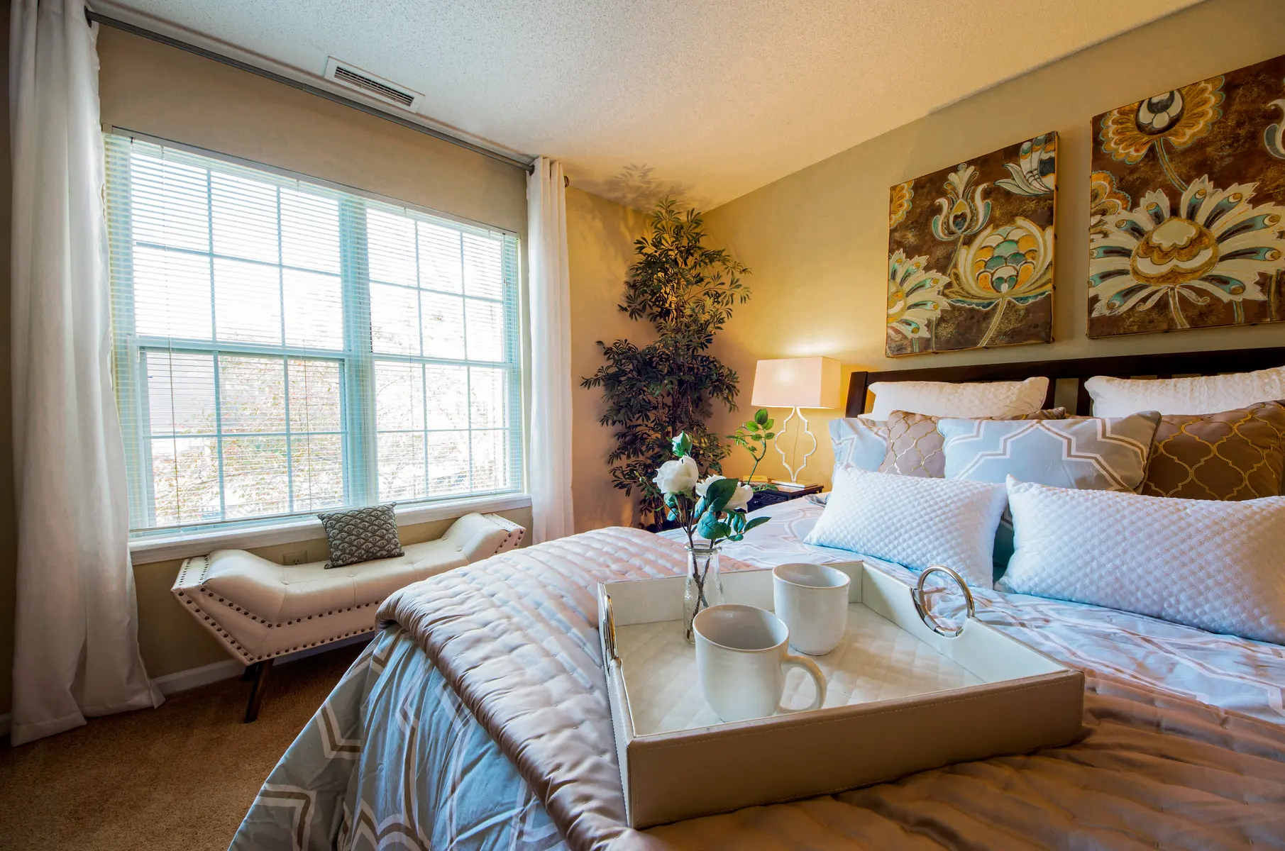 Home Decor, Cushion, Cup
