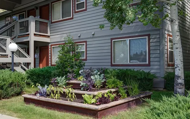 Aspen Meadows Aspen Meadows - Backyard, Yard, Nature