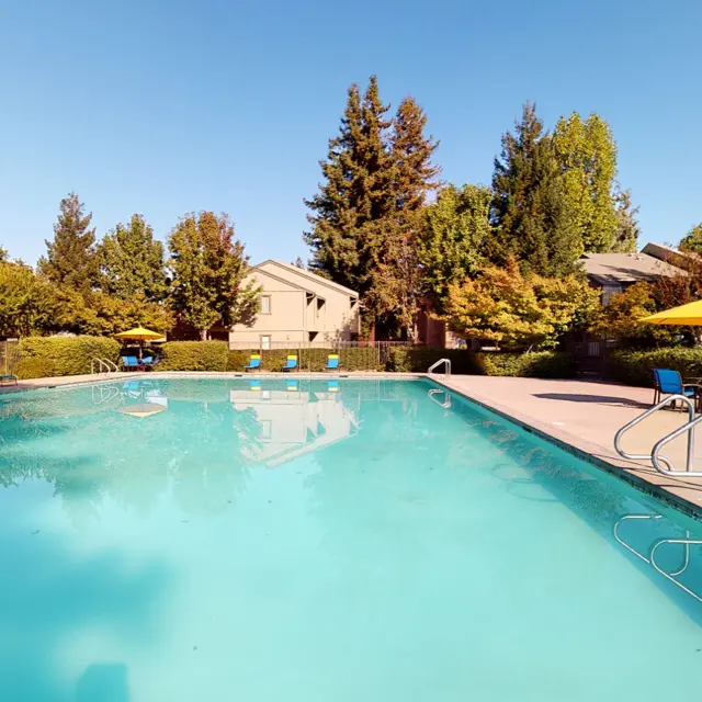 Laurel Oaks Apartments - Swimming Pool