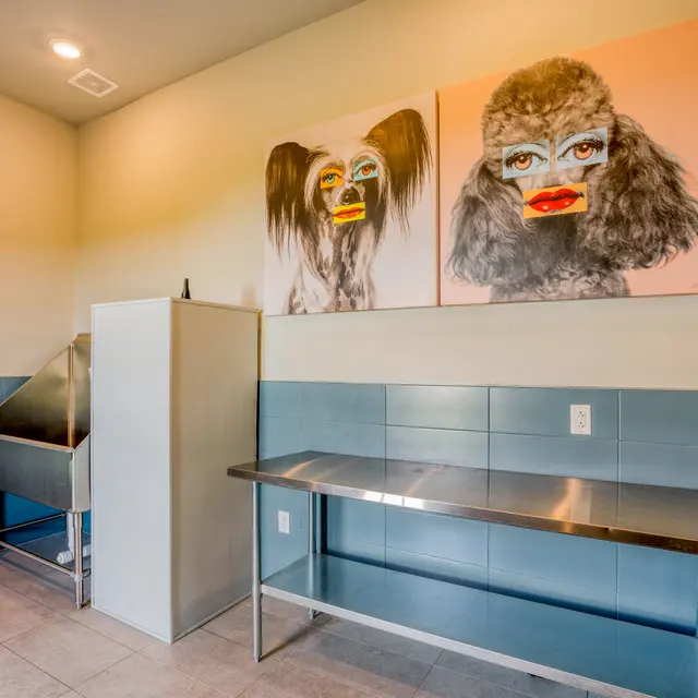 The Jewel O'Fallon - Pets wash area