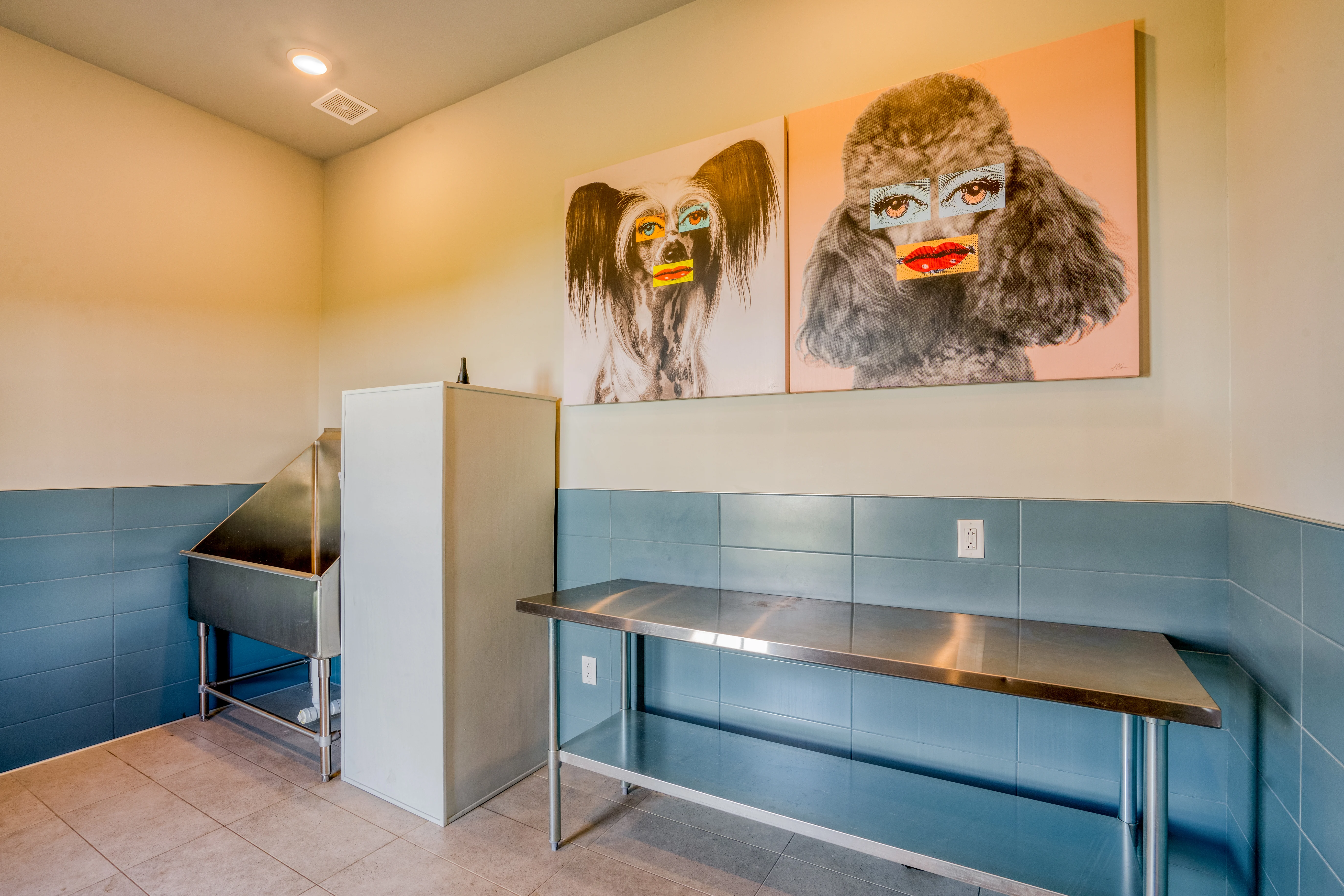 The Jewel O'Fallon - Pets wash area
