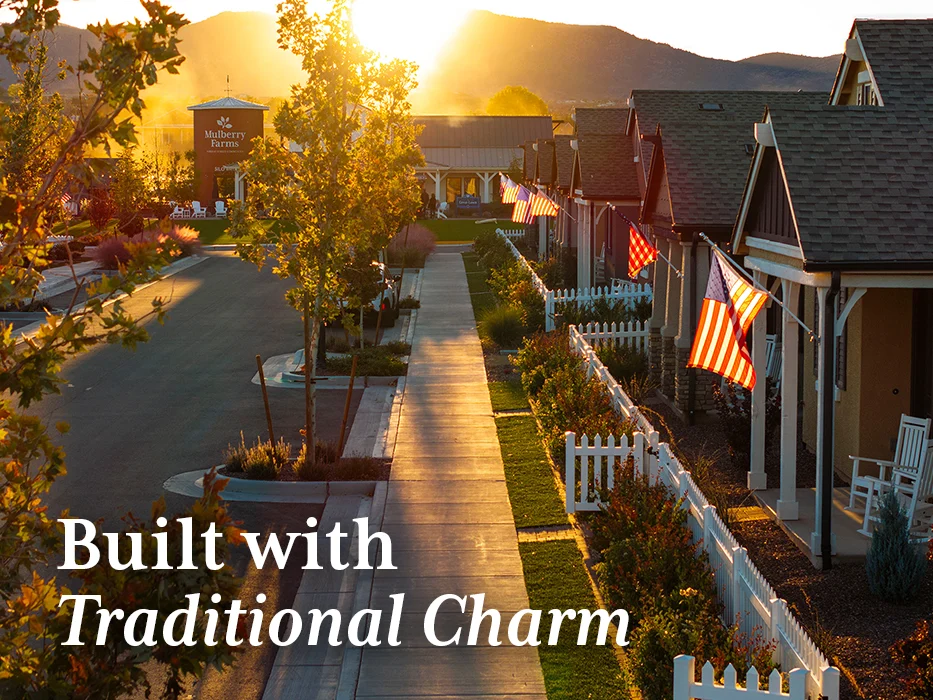 Mulberry Farms Mulberry Farms - Neighborhood, City, Suburb