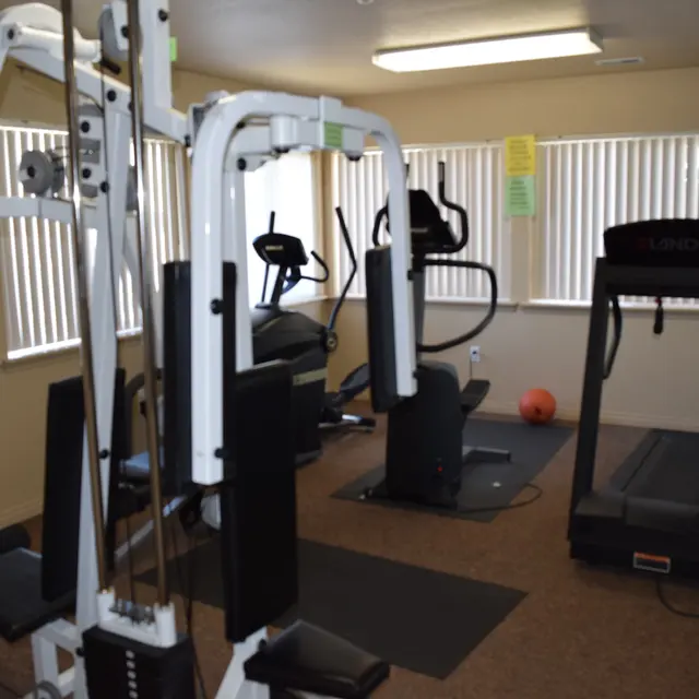 Gym Interior with Exercise Equipment Interior of a gym featuring exercise machines including a multi-gym, stationary bikes, and a treadmill.