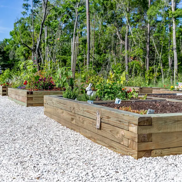 Rochester Park - Jar, Planter, Potted Plant