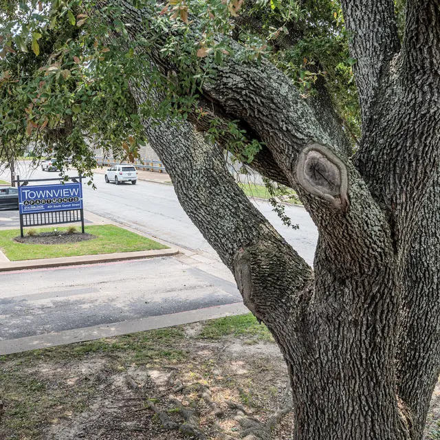Townview - Athens - Tree, Tree Trunk, Car