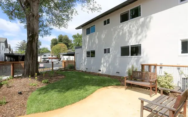 Edge at Howarth Park - Yard, Grass