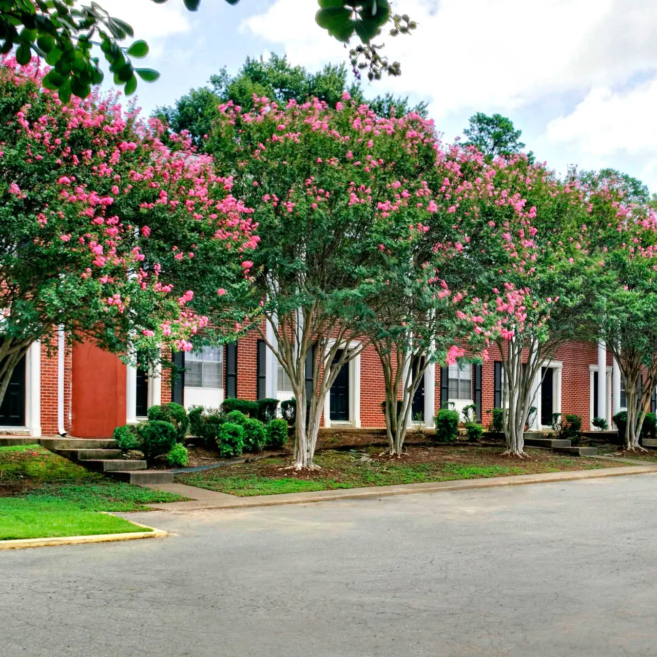 Markham Oaks Markham Oaks - House