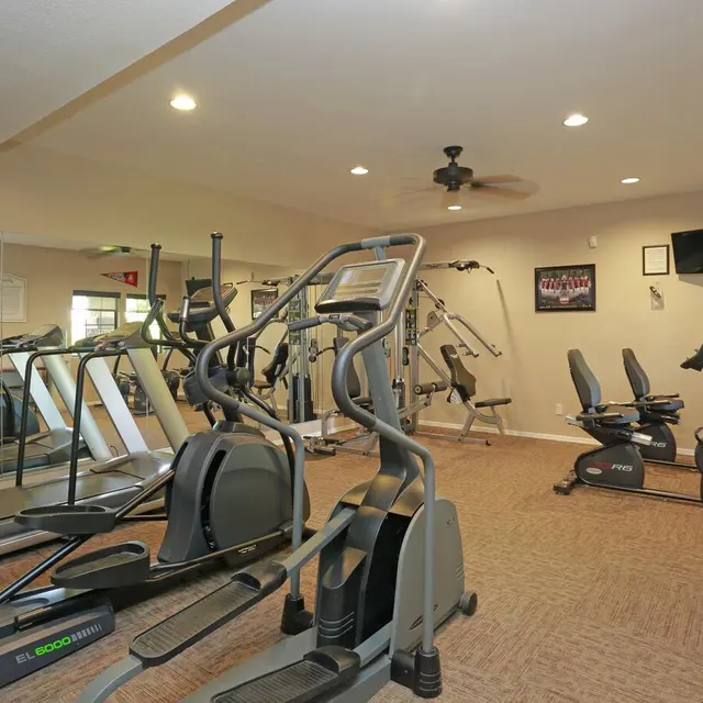 Lantana - Fitness, Sport, Working Out