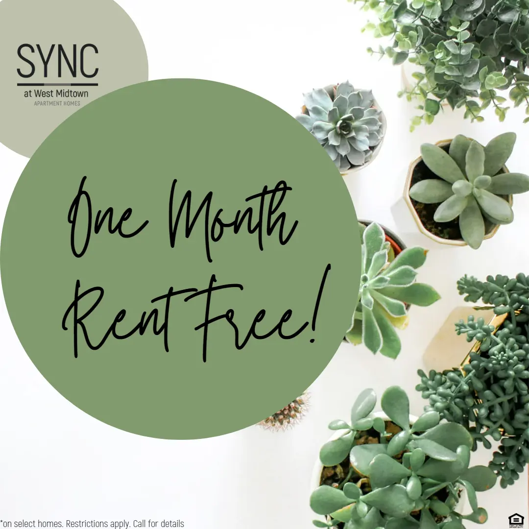 SYNC at West Midtown - Herbal, Plant, Herbs