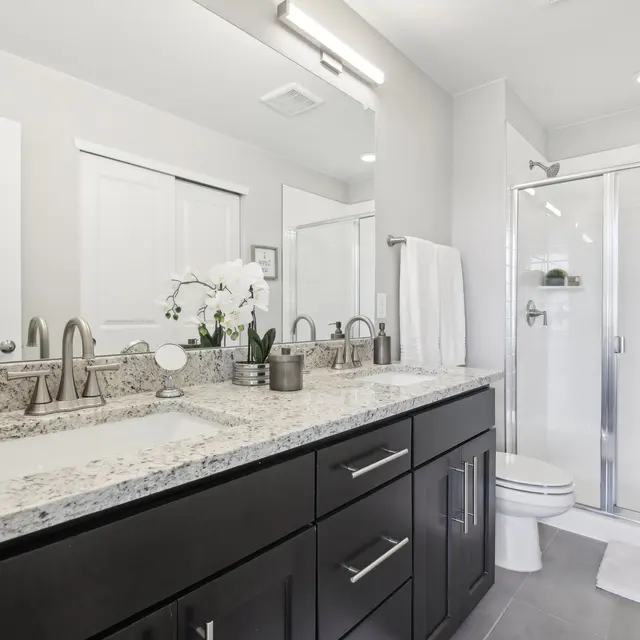 The Rowhomes - Sink, Sink Faucet, Double Sink