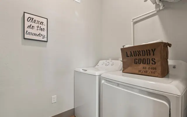 Black Cat - Washer, Appliance, Laundry