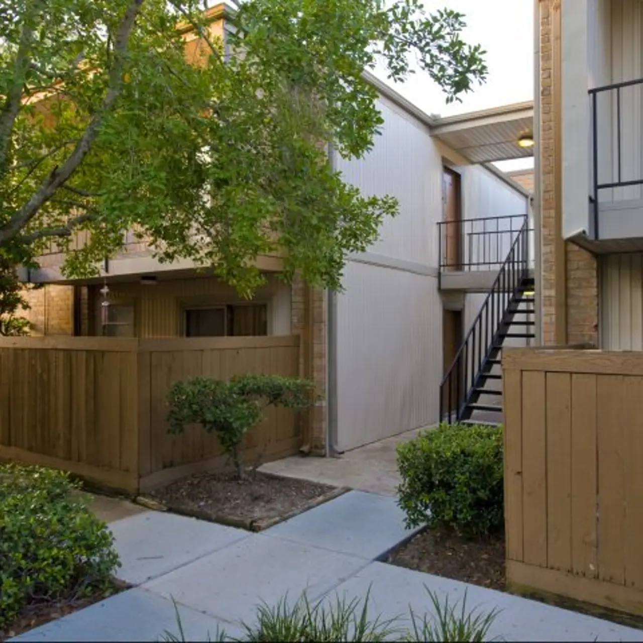 Pine Forest Place & Park - Tree, Yard