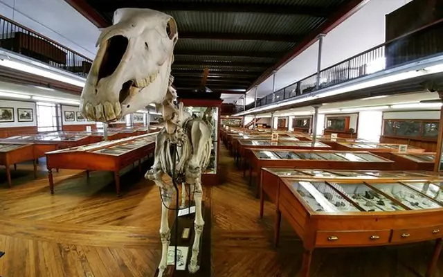 Wagner Free Institute of Science of Philadelphia