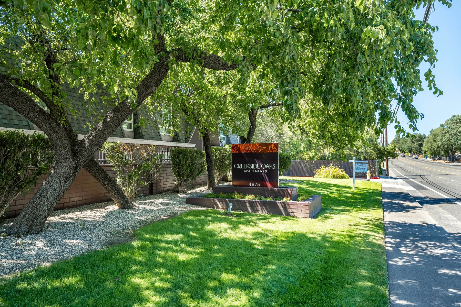 Creekside Oaks - Grass, Outdoors, Park