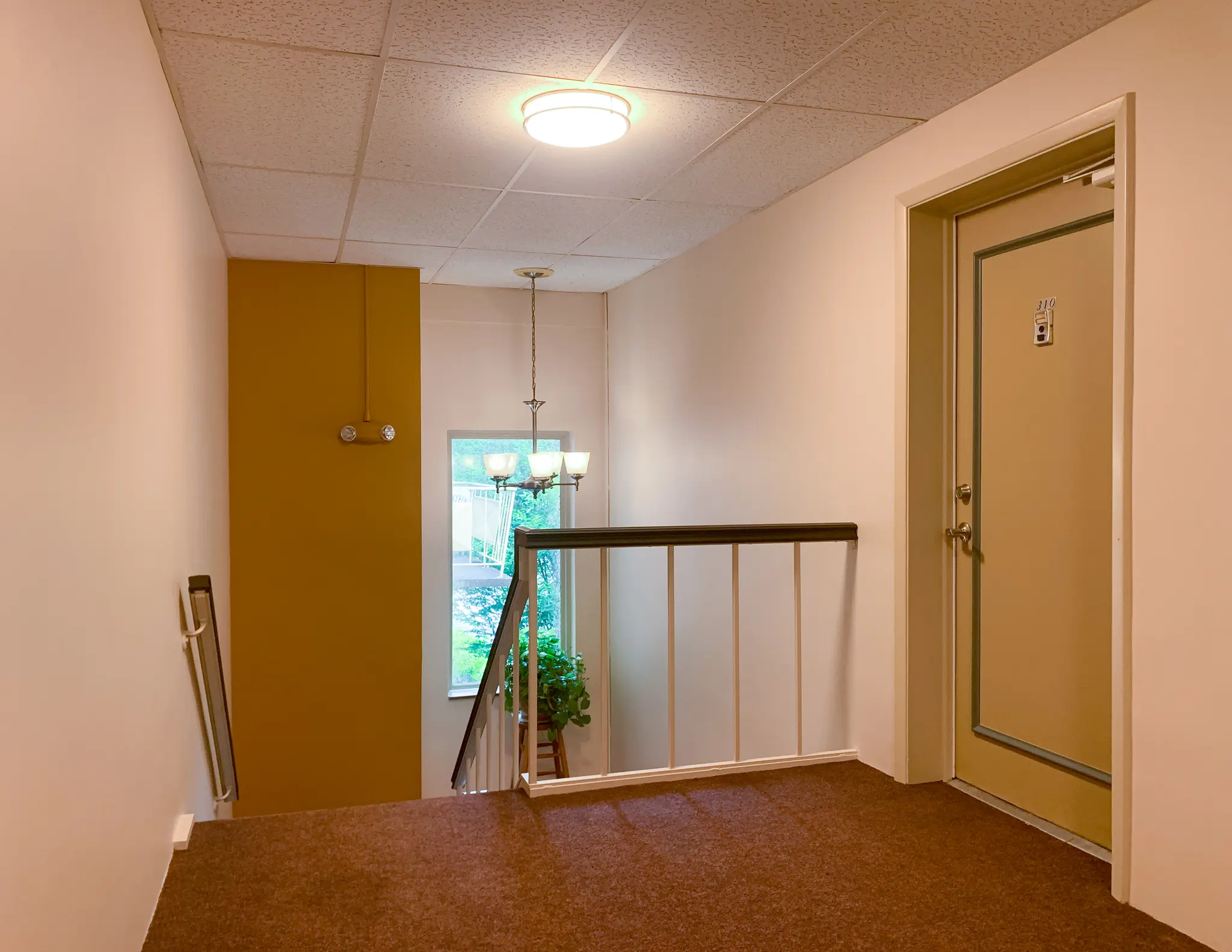 Fairview Park Manor - Flooring, Floor, Wood