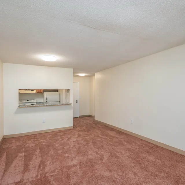A spacious, empty living room with beige walls and carpet flooring. A small kitchen area is visible through an open wall, featuring a counter and cabinets. The room is well-lit with a ceiling light.