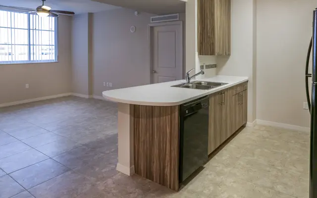 Pinnacle at Tarpon River Apts - Flooring