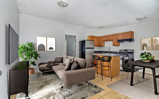 Furnished Open Kitchen Living Area