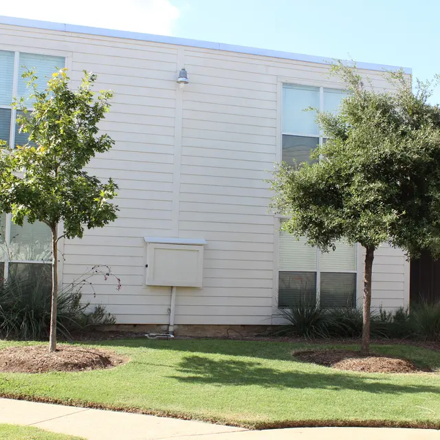 Carillon - Grass, City, Backyard