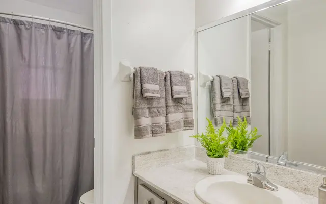 Hardy Oaks Apartments - Sink, Sink Faucet, Lamp