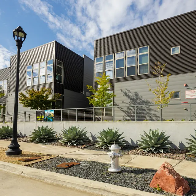 The Sasha at Jennings - City, Neighborhood, Agavaceae