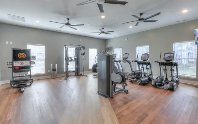 Waterleaf at Old Franklin