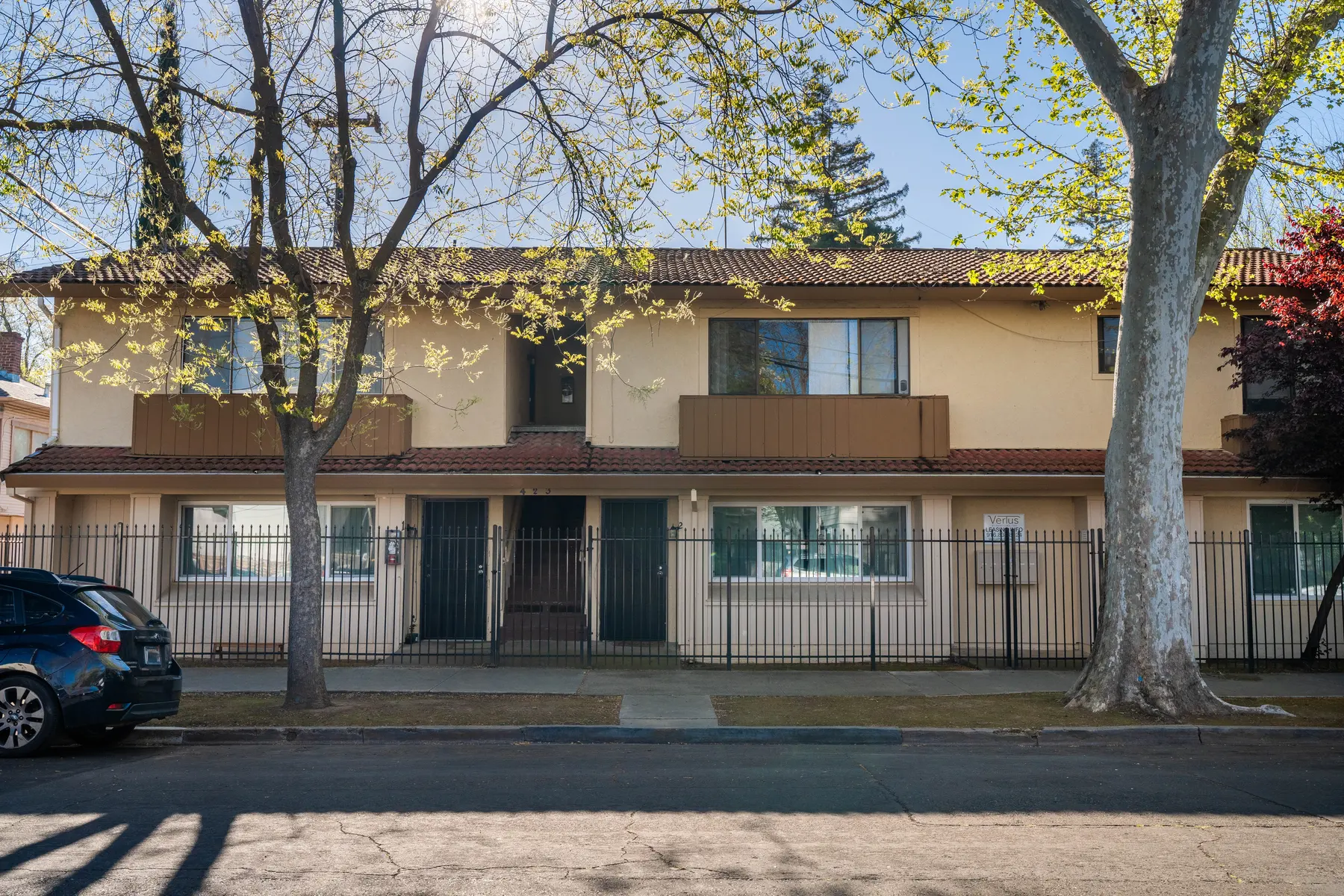 421 14th Street - City, Neighborhood, Tree