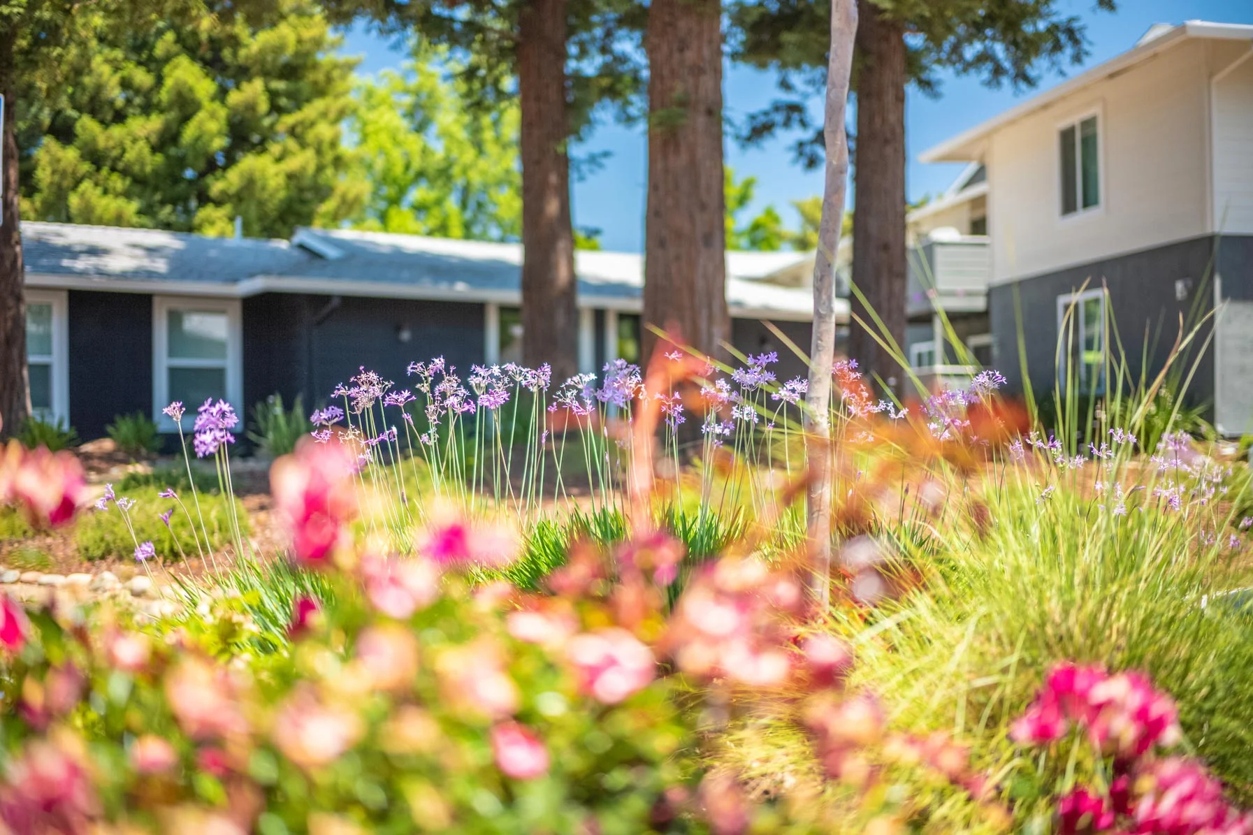 Sierra Square - Jar, Vase