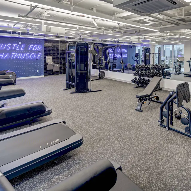 The Residences at LSU Health The Residences at LSU Health - Fitness, Working Out, Gym