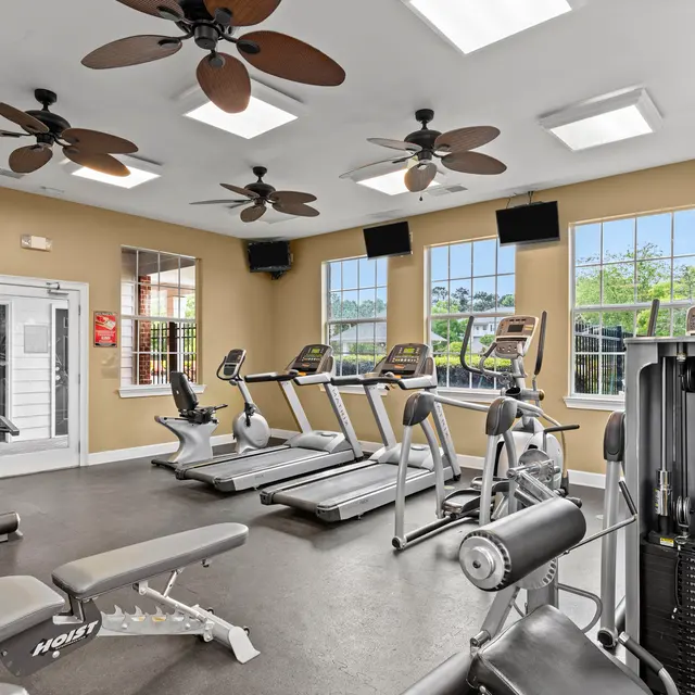 SYNC at Ten Oaks - Ceiling Fan, Appliance, Fitness