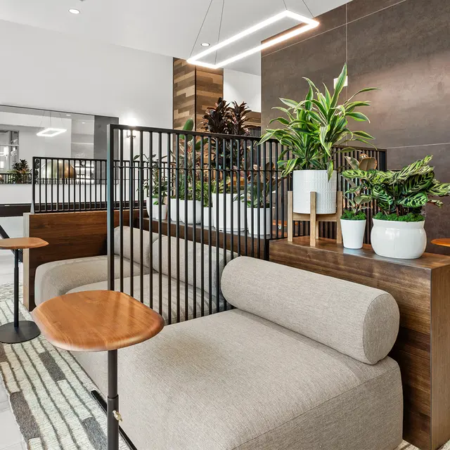 Adera - Indoors, Foyer, Plant