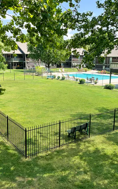 Seasons - Grass, Plant, Yard