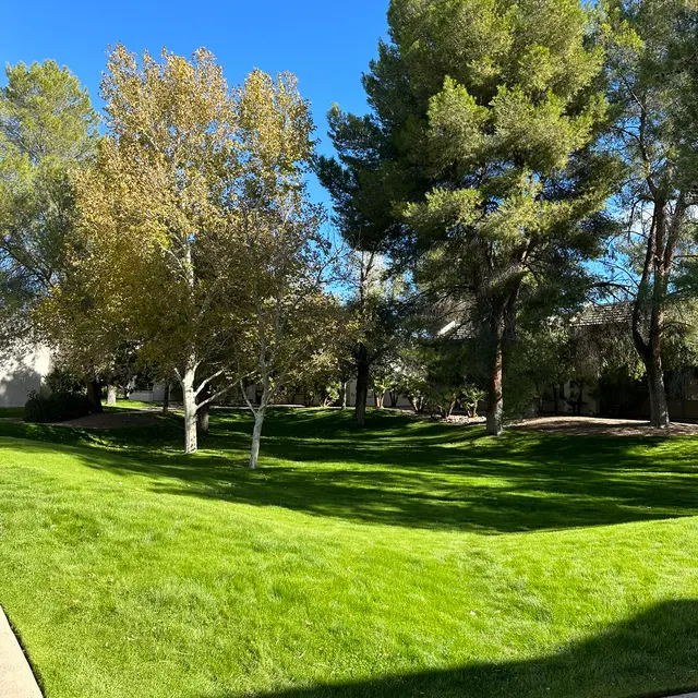 The Woods Apartments at Midvale Park The Woods Apartments at Midvale Park - Grass, Nature, Outdoors