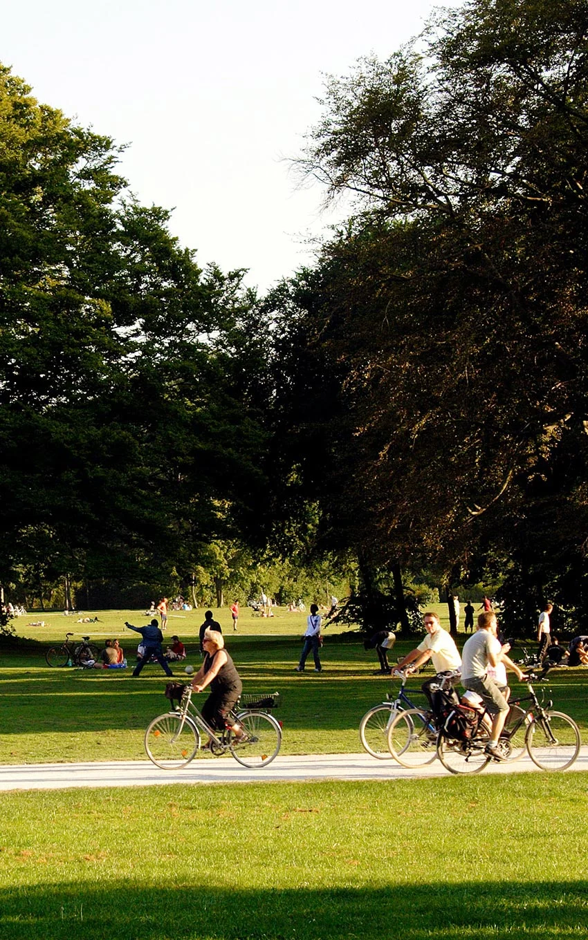 Rose Valley Management Corp - Sport, Wheel