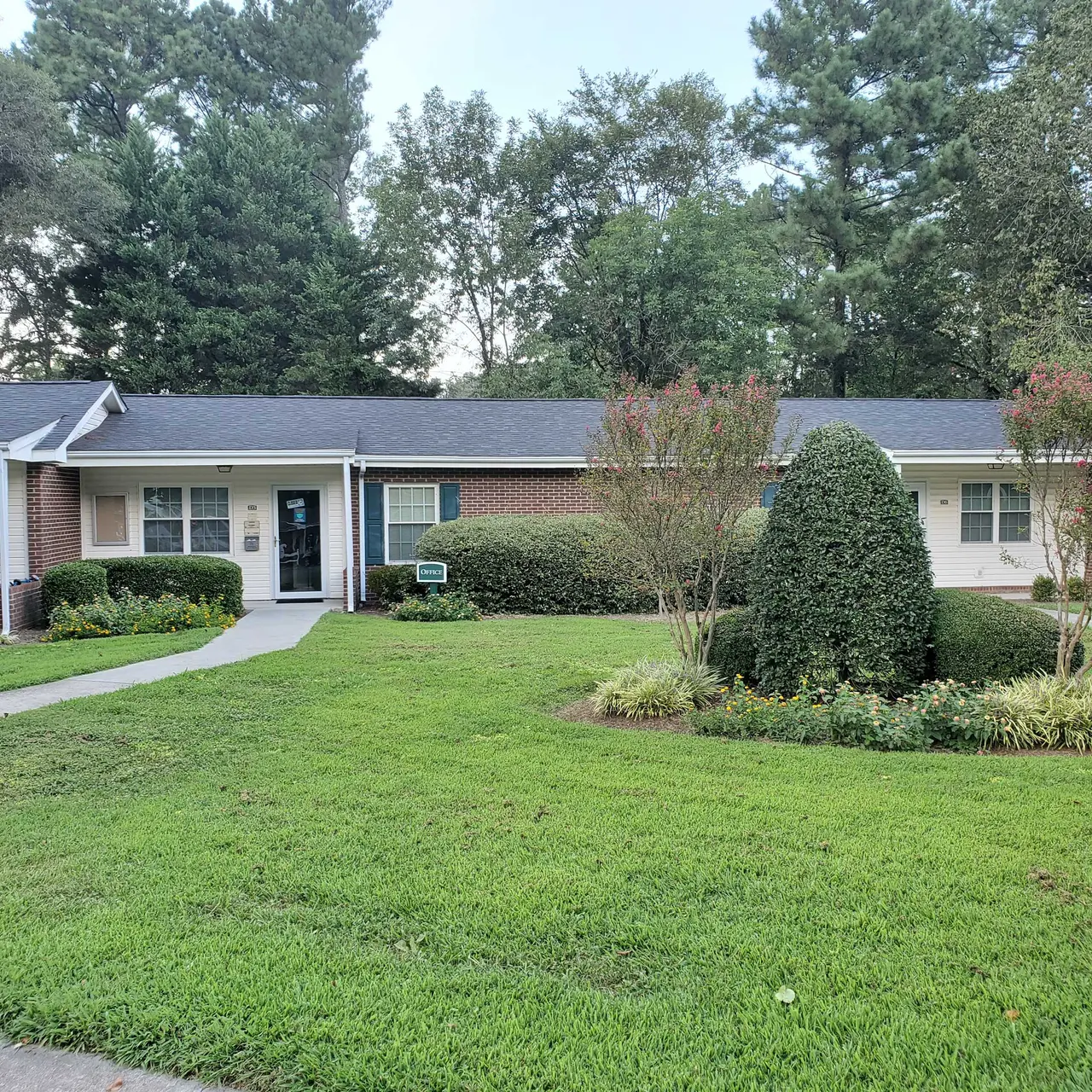Ten Pines - Grass, Lawn, Outdoors