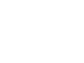 SYNC at Purgatory Creek