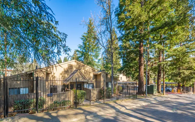 Donner at Fair Oaks - Nature, Outdoors, Scenery