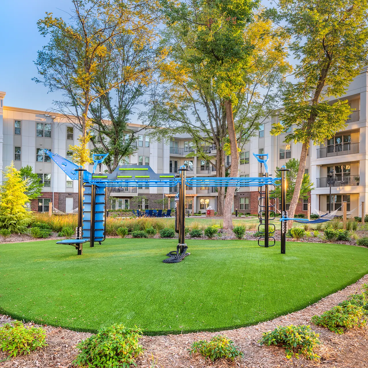 District Midtown - Grass, Plant, City