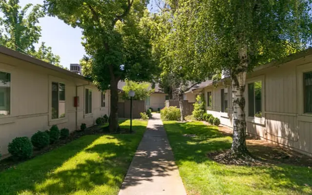 Bradshaw Place - Yard, Grass, Plant