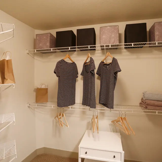 Closet with Lots of Storage