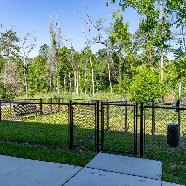 Rochester Park - Grass, Nature, Outdoors
