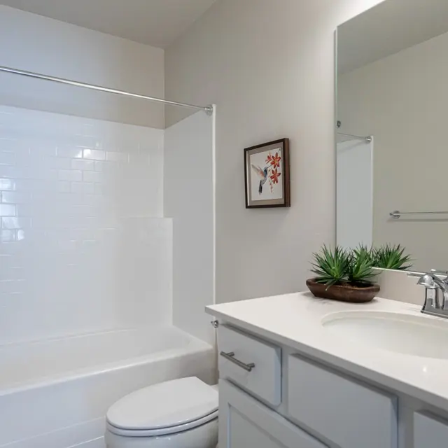A clean, modern bathroom featuring a white bathtub with a shower, a white sink with a mirror above, and a decorative plant on the countertop.